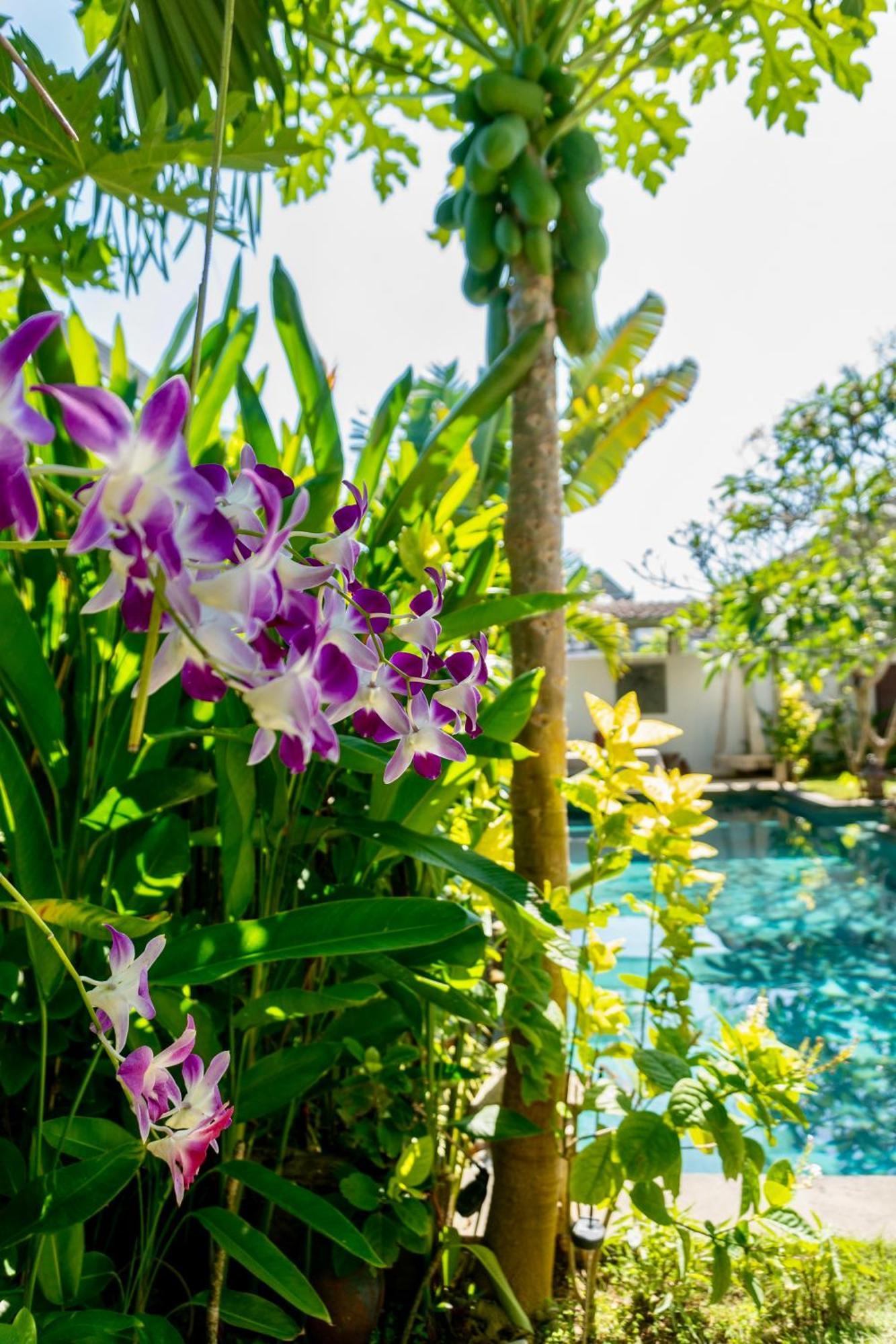 Hotel Damai Uluwatu Esterno foto